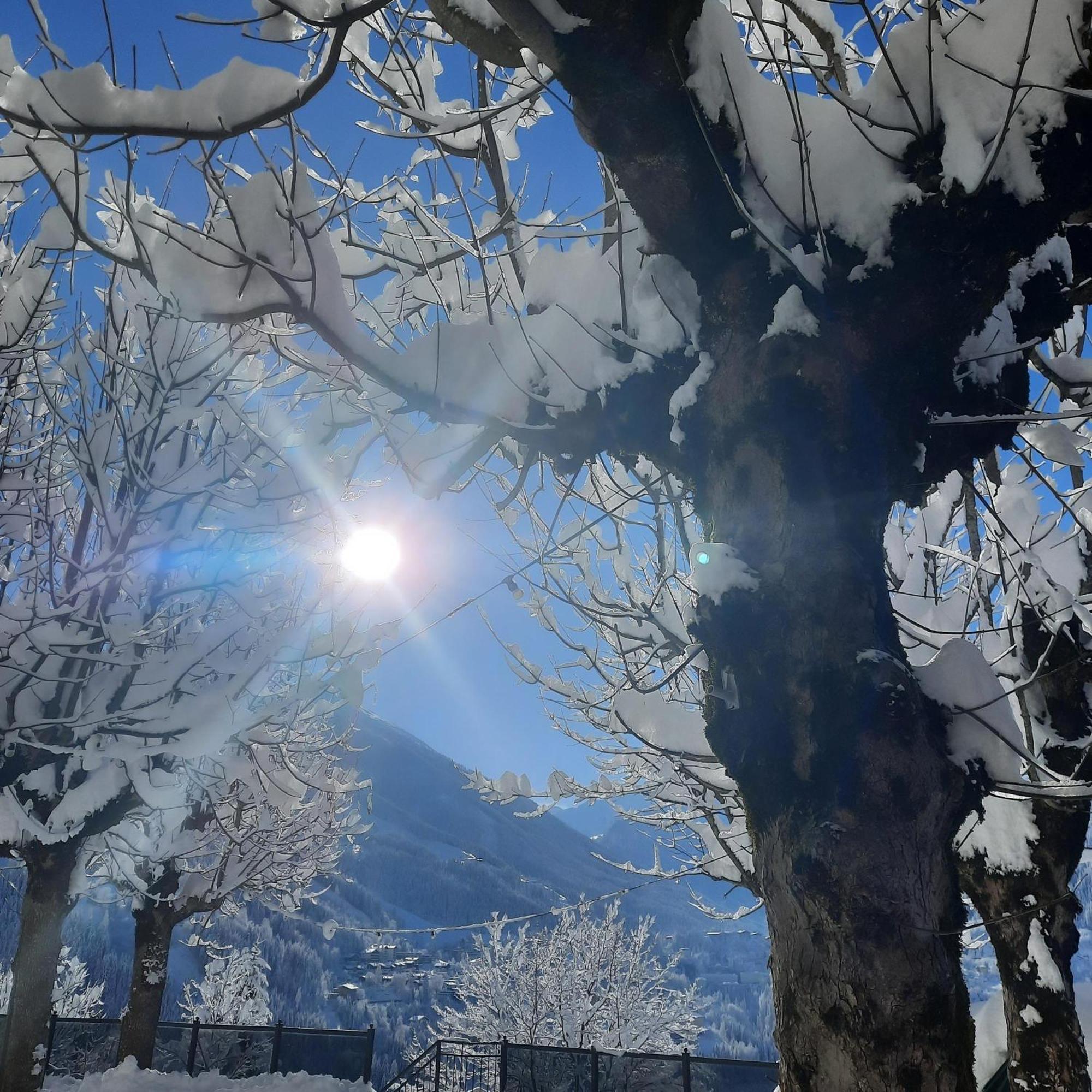 Gasthof Appartements Gamskar Bad Gastein Dış mekan fotoğraf